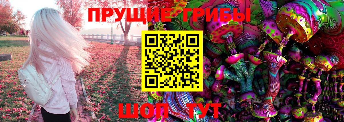 Миасс  Псилоцибиновые грибы Psilocybe  Вход с VPN 